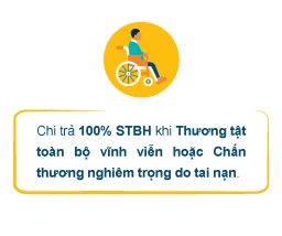Bảo hiểm Bổ sung – Bảo hiểm Tai nạn Sống An